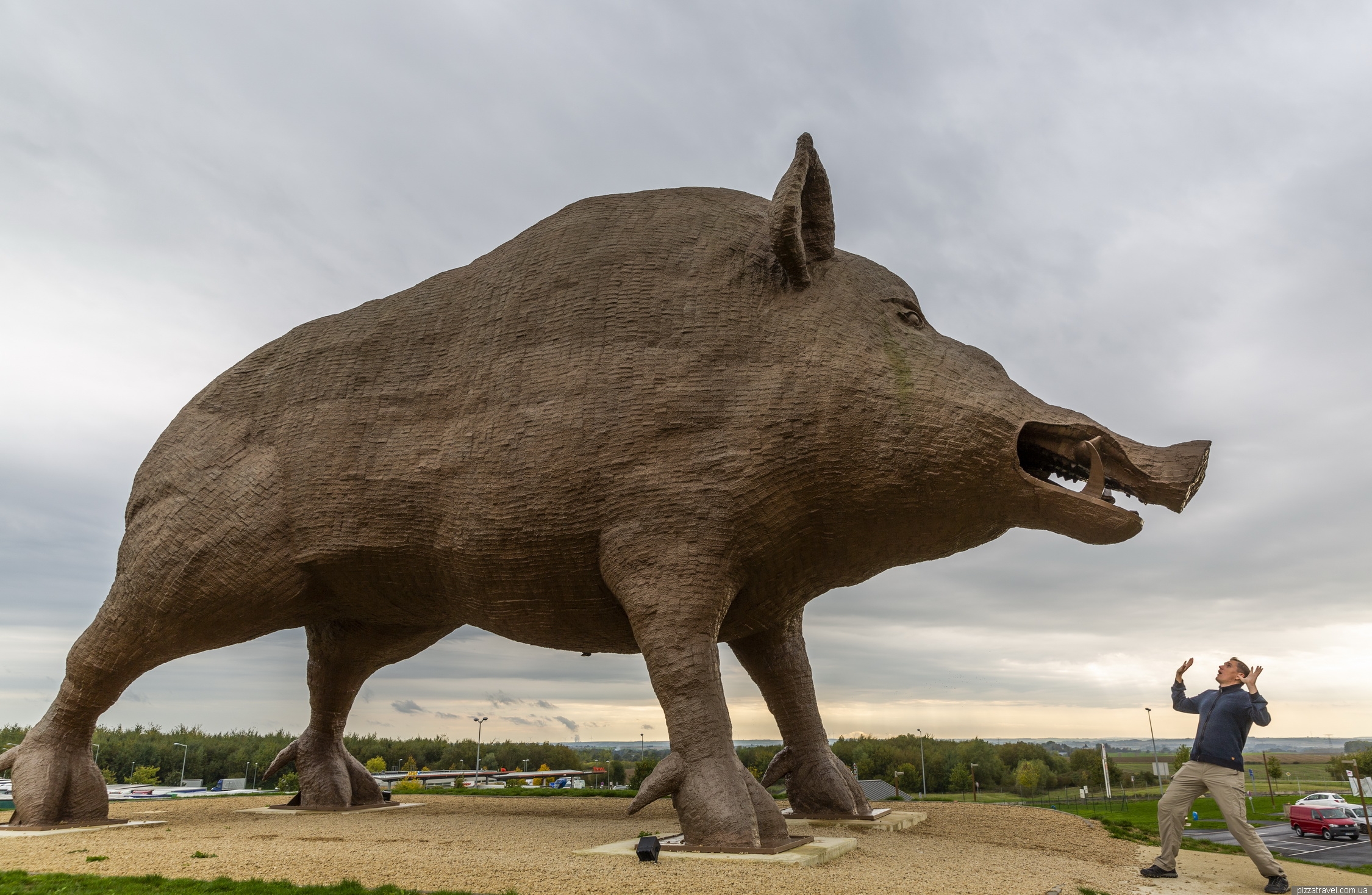 Largest Wild Hog in the World