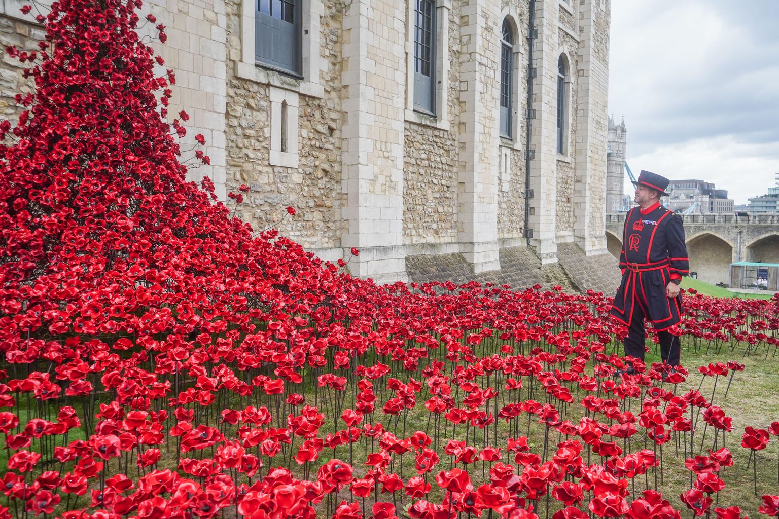 Tower of London Poppy Display 2026