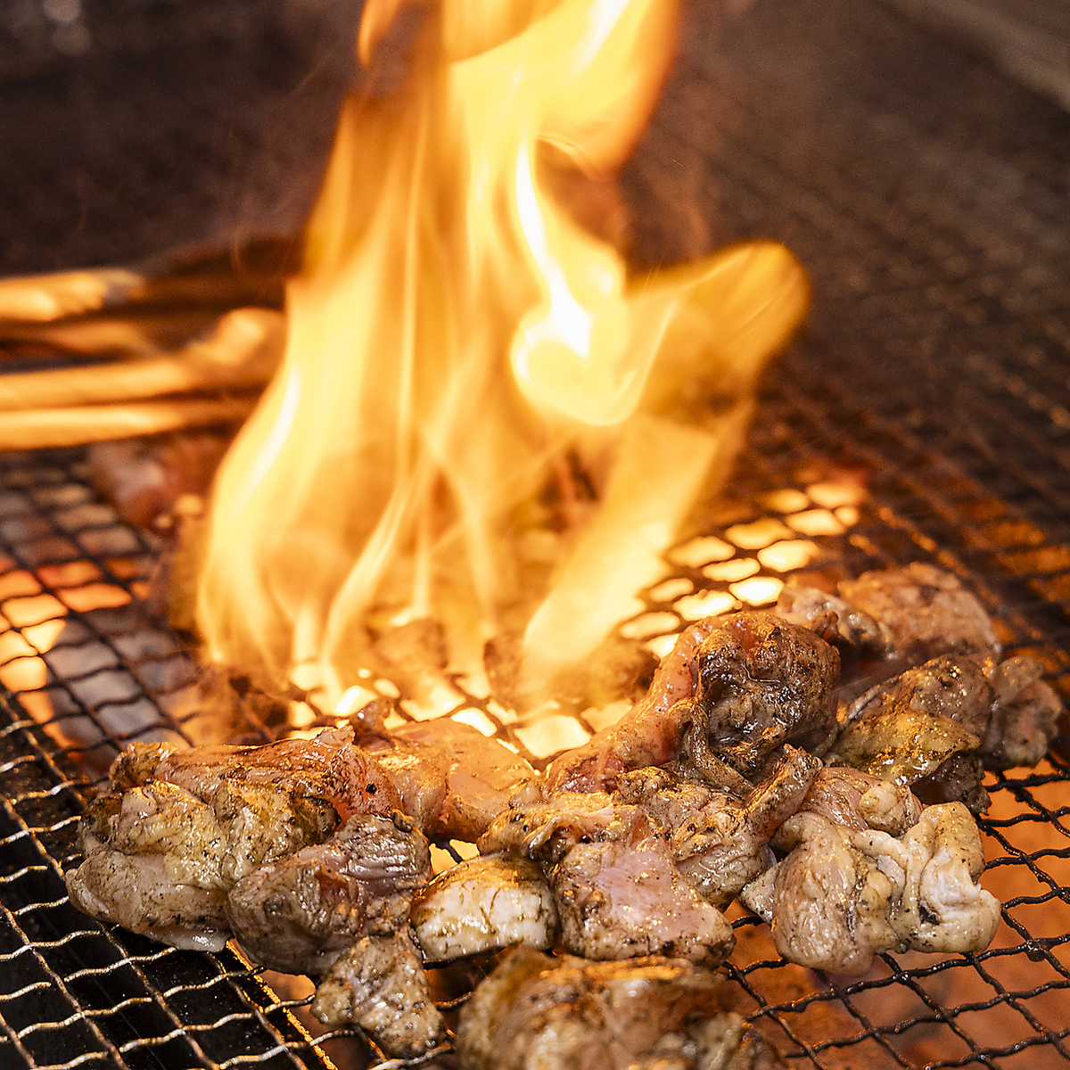 なぜ黒い？宮崎地鶏炭火焼きの真相と名店ランキング【2026最新】