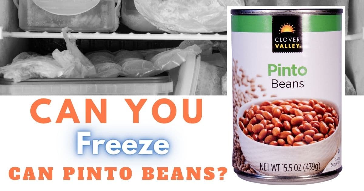 Can Pinto Beans Be Frozen