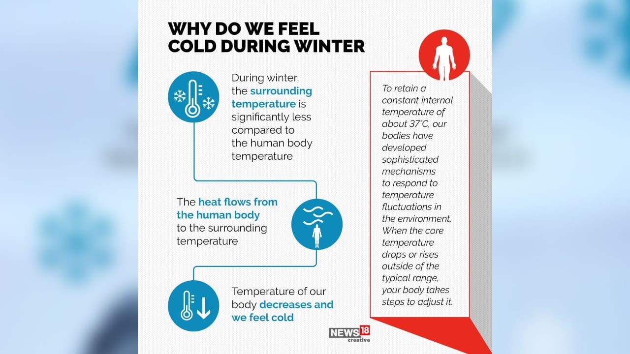 Why Do I Get Cold So Easy
