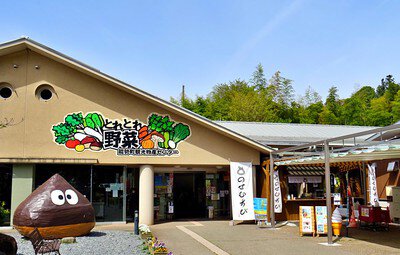 【真相】 道 の 駅 能勢 くり の 郷 最新写真集＆動画まとめ #874