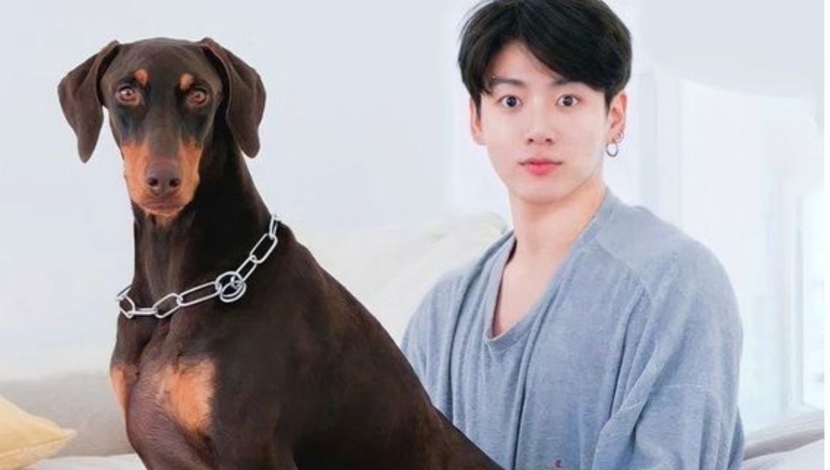 Como Se Llaman Los Perros De Jungkook