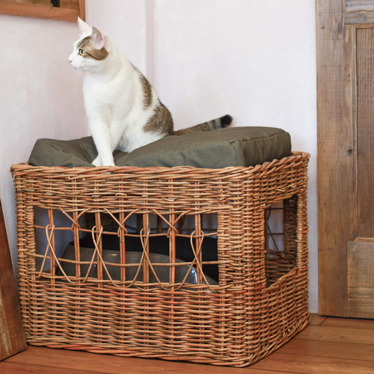 猫トイレをおしゃれに隠す新常識！生活感を消す家具とDiy徹底検証
