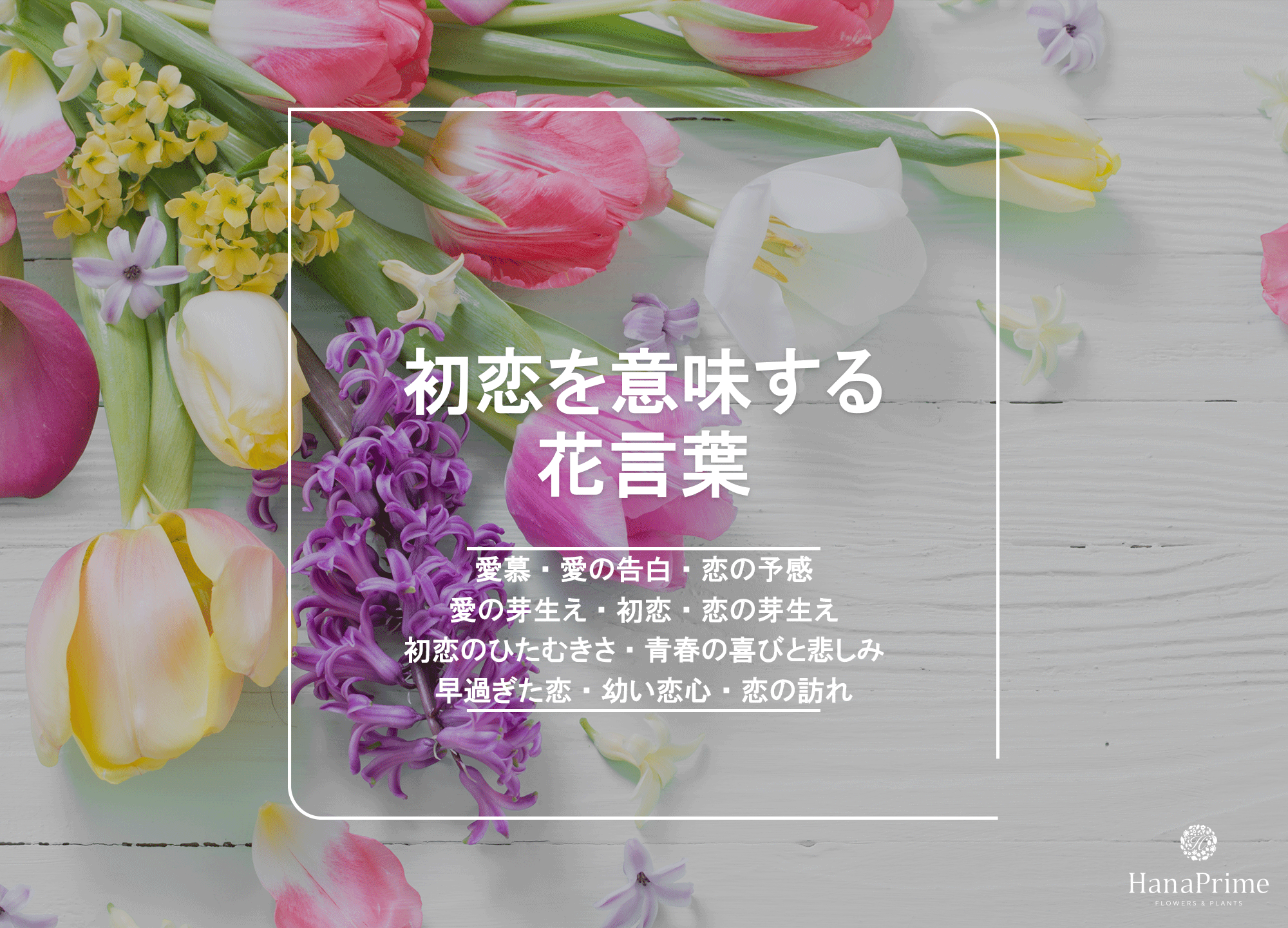 「初恋」の花言葉を持つ花まとめ！色別の意味と失敗しない贈り方