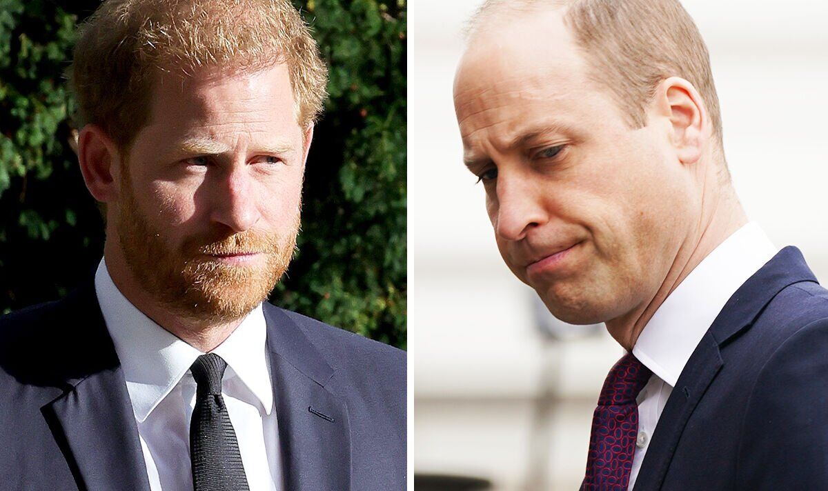 Will Harry’s Uk Return Really Heal His Rift with Prince William?