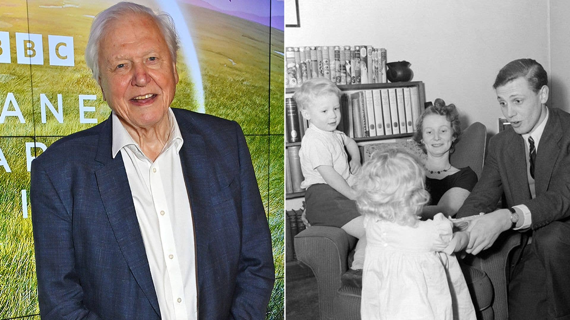 David Attenborough How Old Are His Children