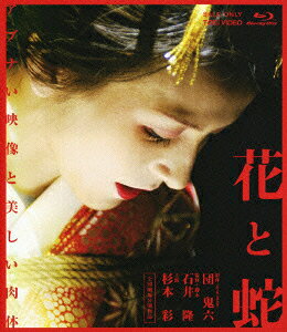 杉本彩のエロ動画検索は危険？『花と蛇』違法配信の真相と罠を徹底解説