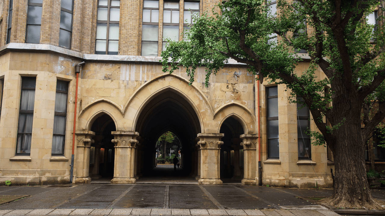 心理学を学べる大学選びで失敗する理由とは？偏差値と就職の実態比較