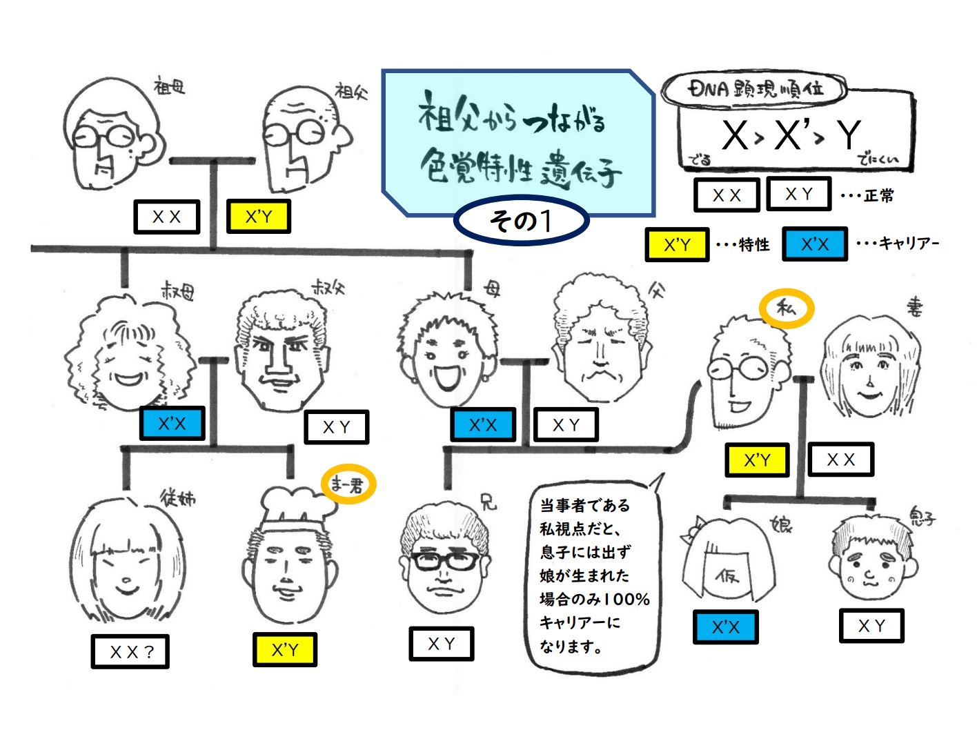 親より祖父母に似る謎！隔世遺伝の科学的根拠と確率・薄毛の真相
