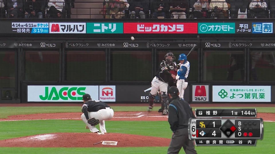 【2026年最新】日ハム戦の熱気がやばい！エスコンフィールドの狂熱、新庄ファイターズ劇的進化の舞台裏と観戦完全ガイド