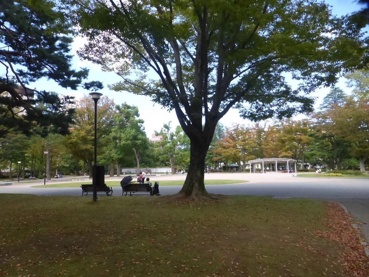 金沢散策の穴場！石川四高記念公園の赤レンガと隠れた絶景ルート