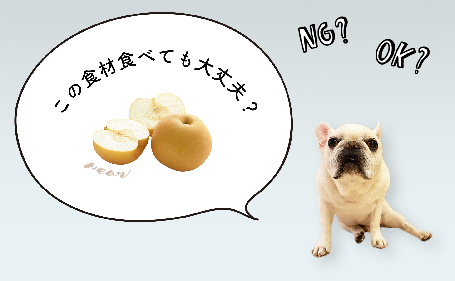 犬は梨を食べていい？中毒や下痢を招く危険な部位と適量の真実