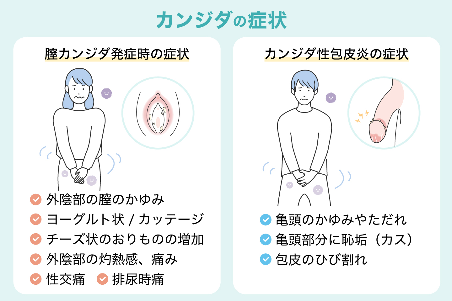 男性カンジダの画像と初期症状｜亀頭の白いカスやかゆみの正体と治療法