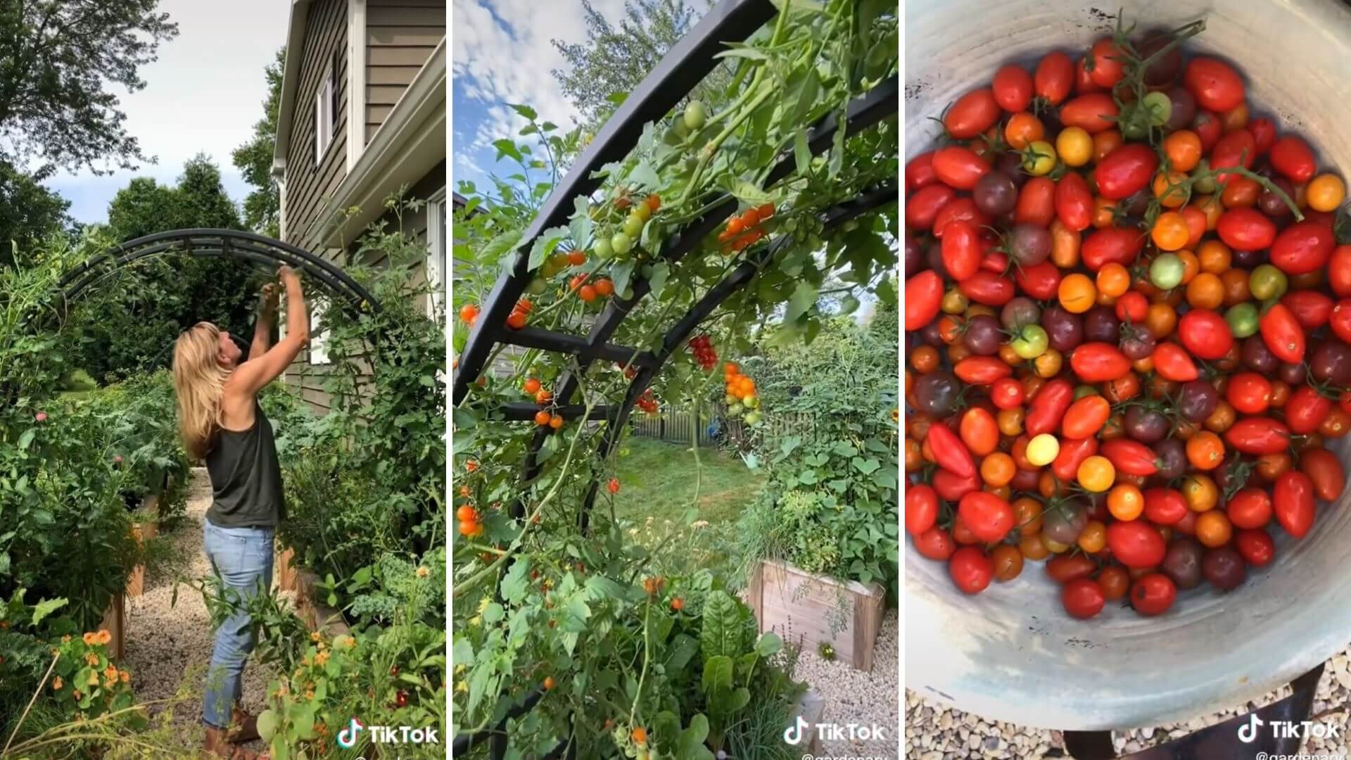 What to Do with All the Tomatoes from My Garden