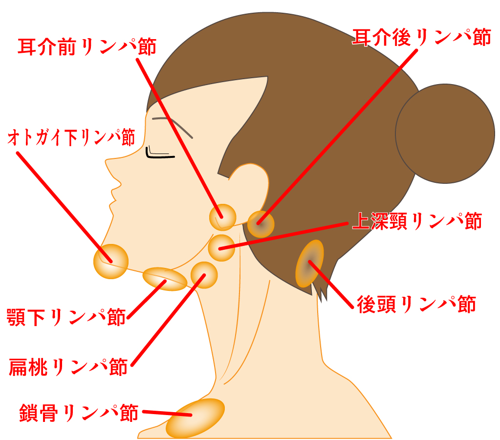 首のしこりがコロコロ動く原因は？痛くない場合のリスクと受診目安