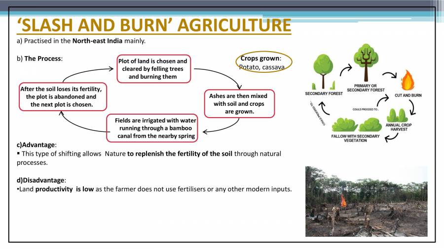 What Does Slash and Burn Mean