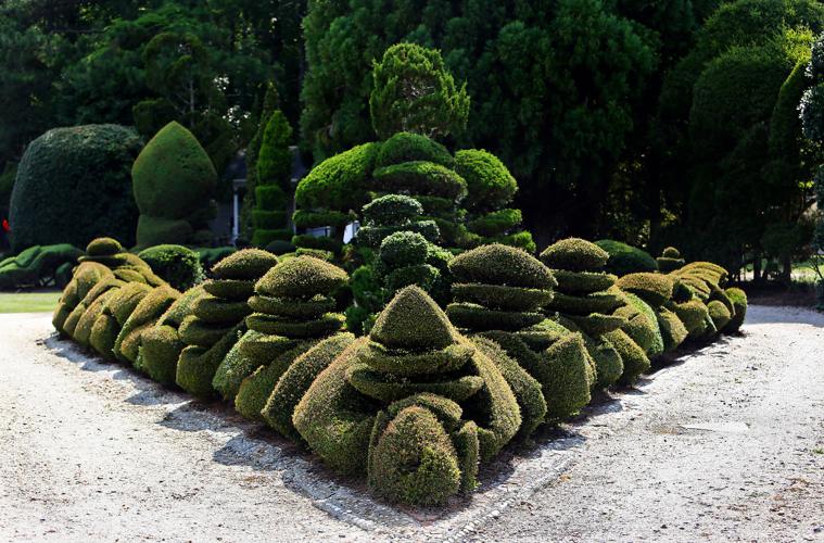 Pearl Fryar's Topiary Garden