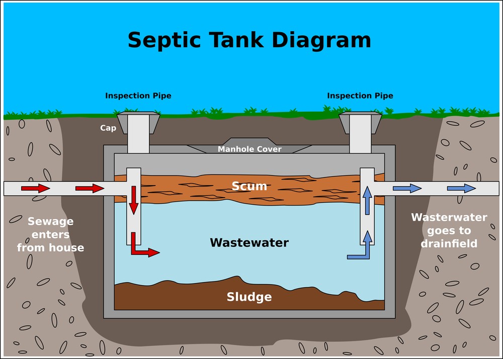 What Is the Meaning of Septic