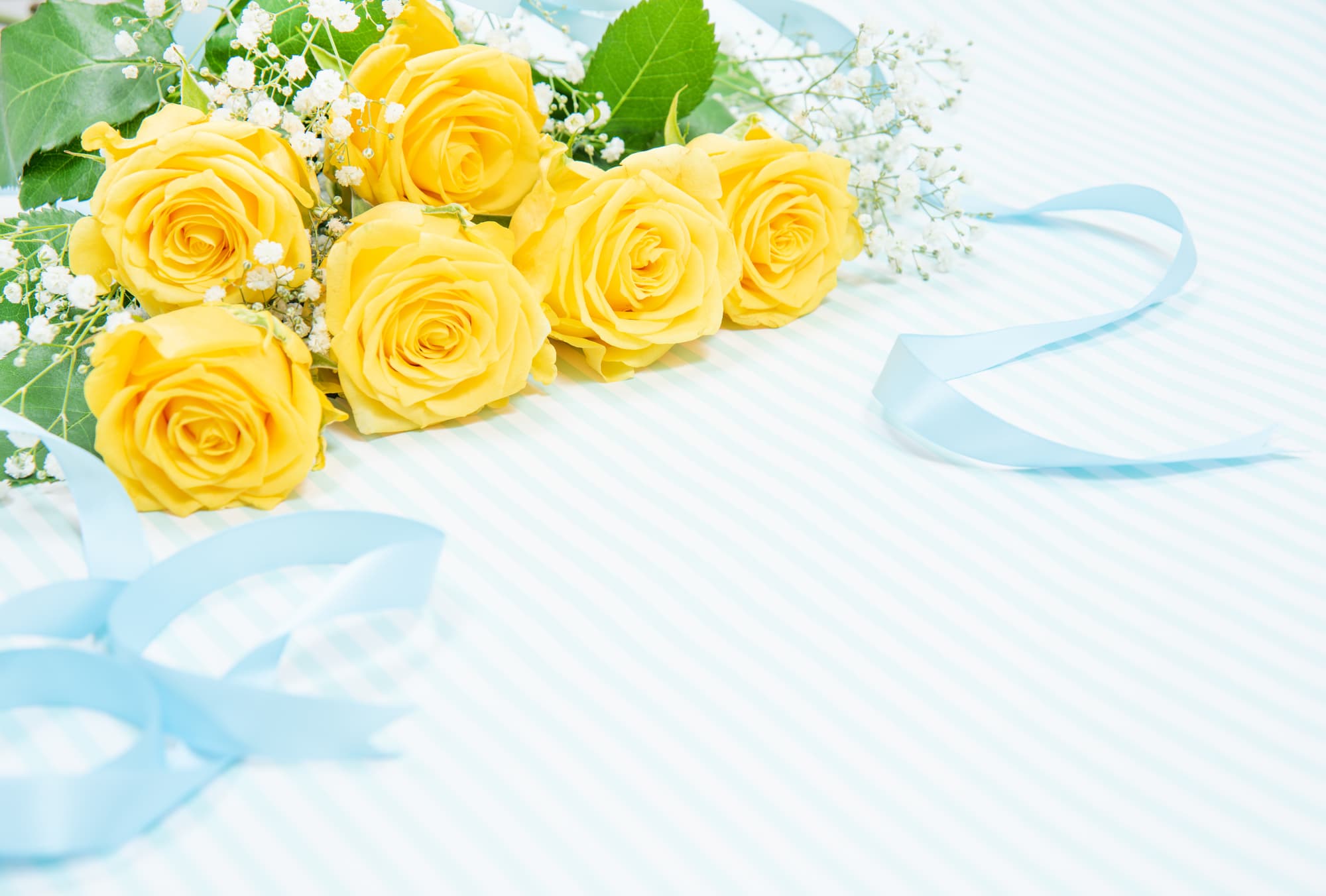 黄色いバラの花言葉は怖い？嫉妬と友情の真相と贈ってはいけない理由