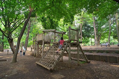 【必見】 林 試 の 森 公園 最新熱愛噂まとめ #974