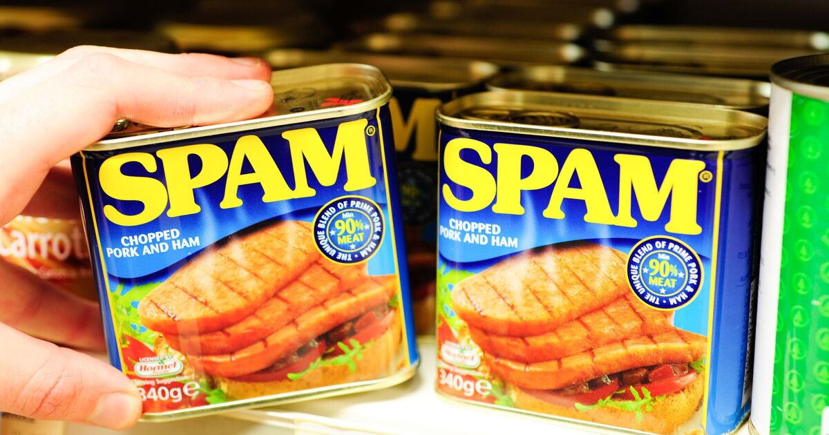 Why Was Spam Invented