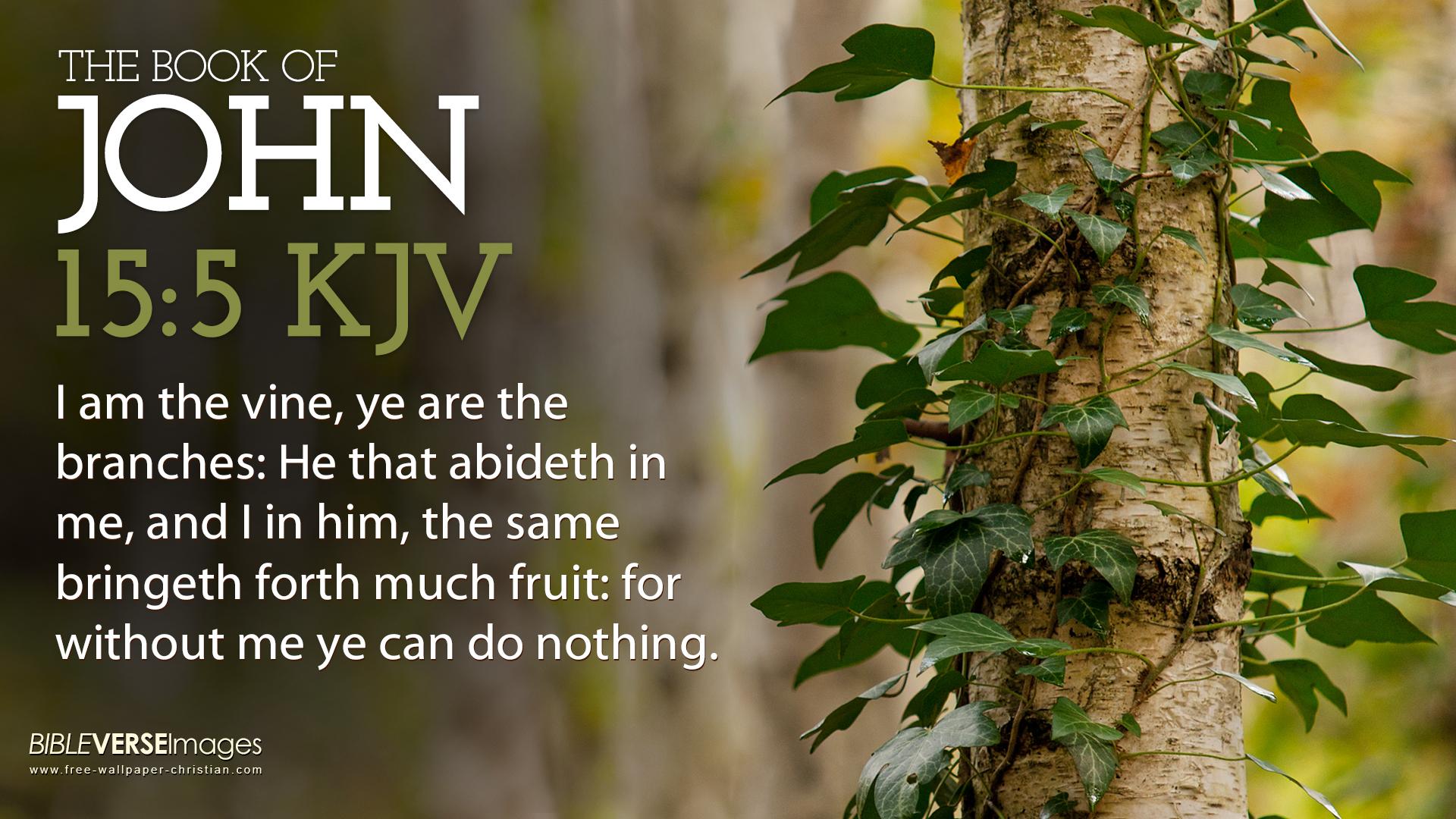 Bible Verse for Today King James Version