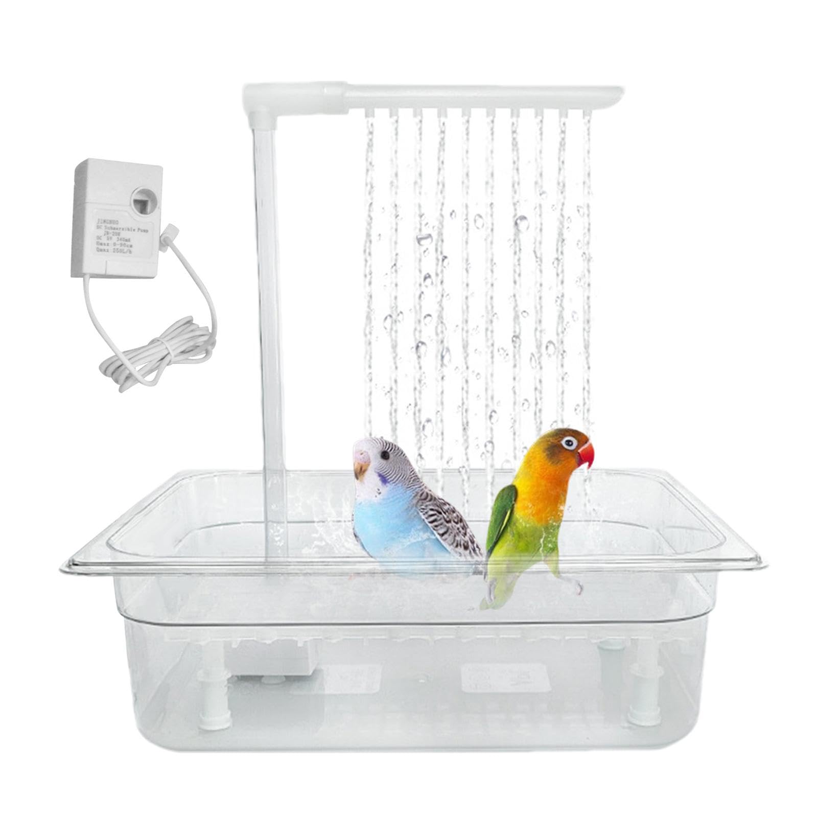 セキセイインコ水浴び容器の正解は？100均代用や外付け評判を徹底検証