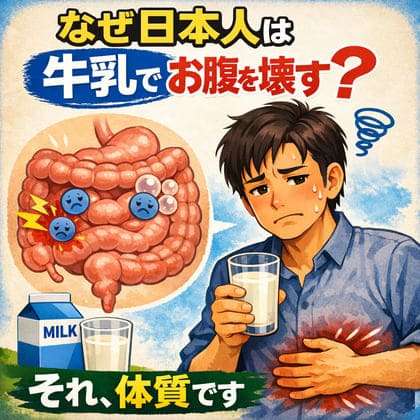 「牛乳を飲むとお腹が痛くなる」は体質だからと諦めるべきか？2026年、日本の食卓で起きている「お腹に優しい牛乳」革命の真実