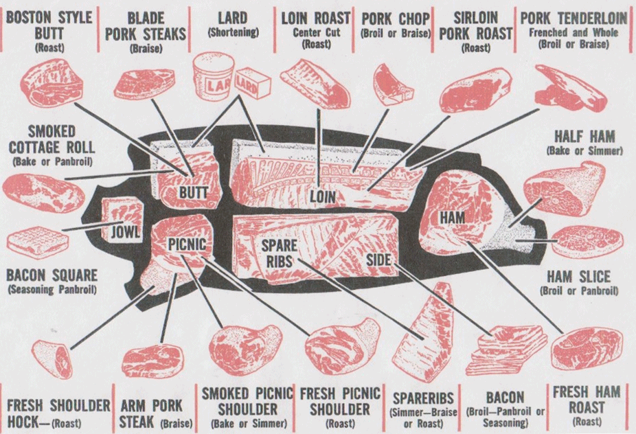 Where Does Pork Tenderloin Come From