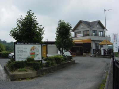 日本一小さなオアシスが満杯？「道 の 駅 ちはや あかさ か」が2026年の今、大都市近郊の避難所として脚光を浴びる理由