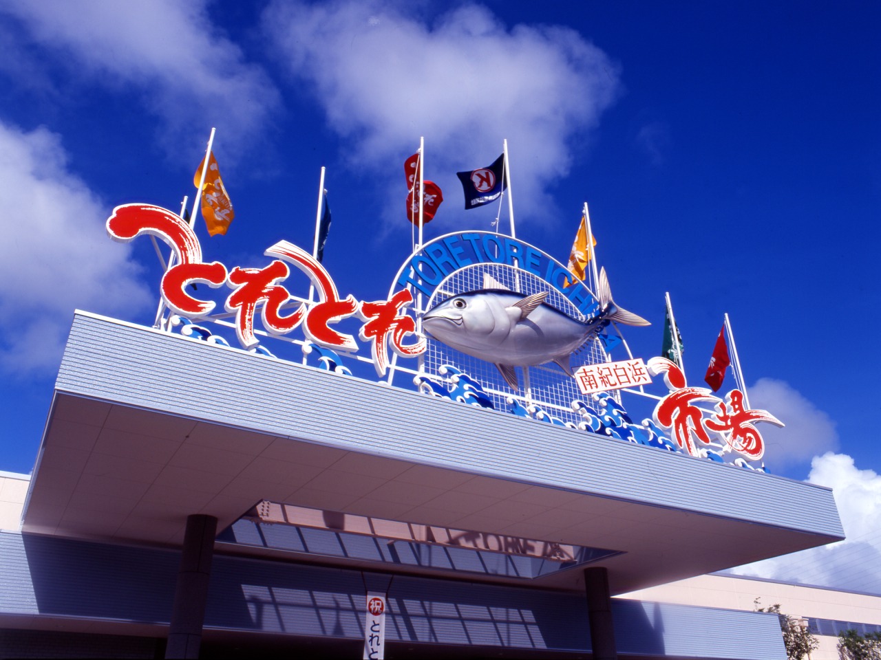 南紀白浜とれとれ市場の魅力と攻略法！マグロ解体ショー＆混雑回避術