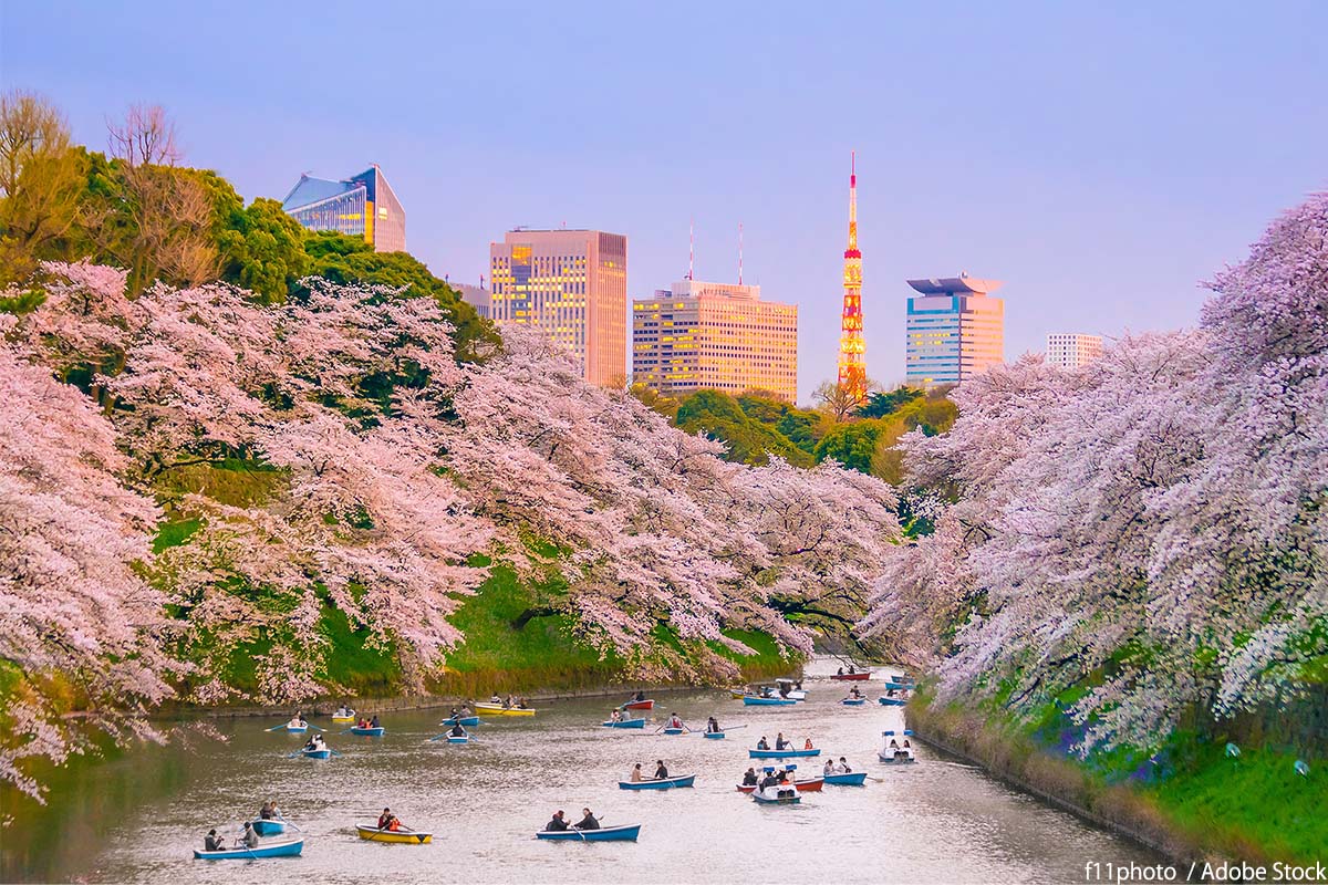 【2026年現地取材】都心が劇変！進化する東京の公園が切り拓く「都市と緑」のリアルな最前線