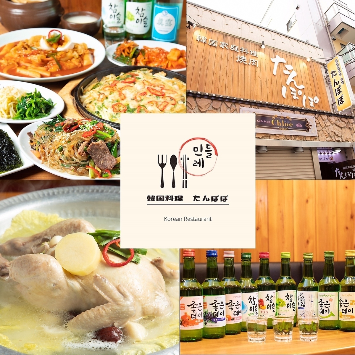 韓国家庭料理たんぽぽの全貌｜オモニの味と絶品メニューを徹底解剖