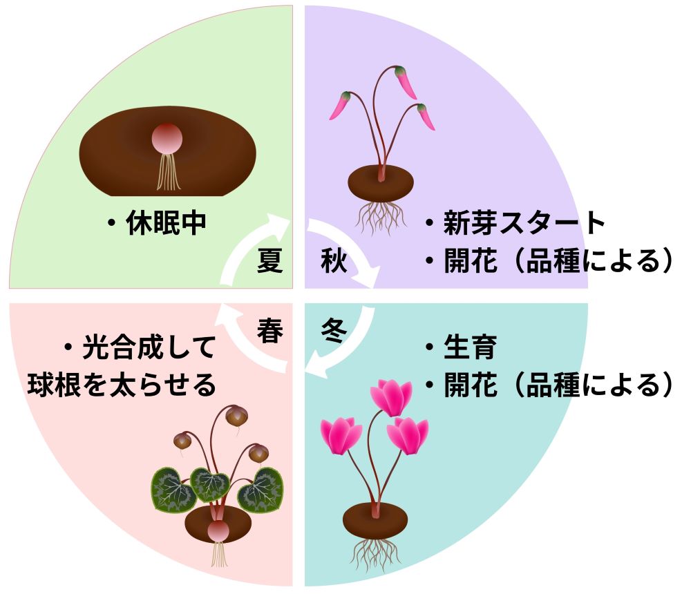 腰の痛みと足のしびれは危険信号？原因疾患と受診目安を徹底解説