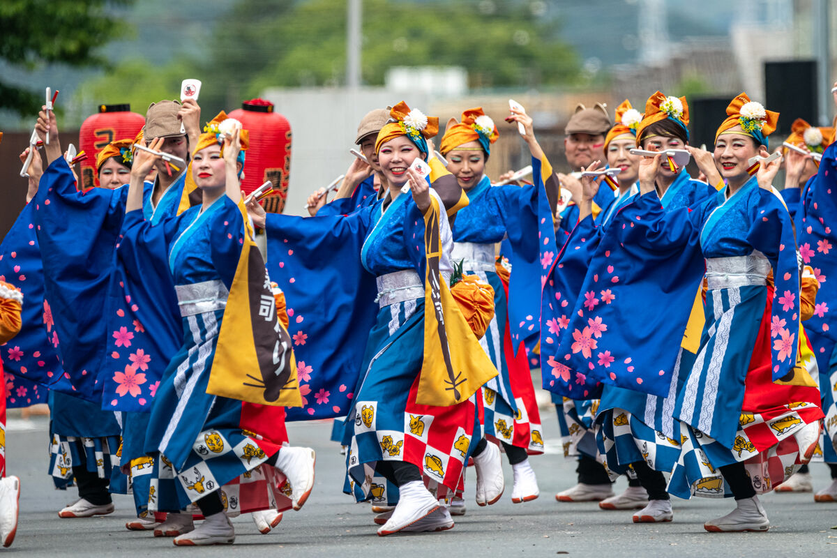2026年おいでん祭を徹底解説！花火の穴場や屋台・混雑回避策