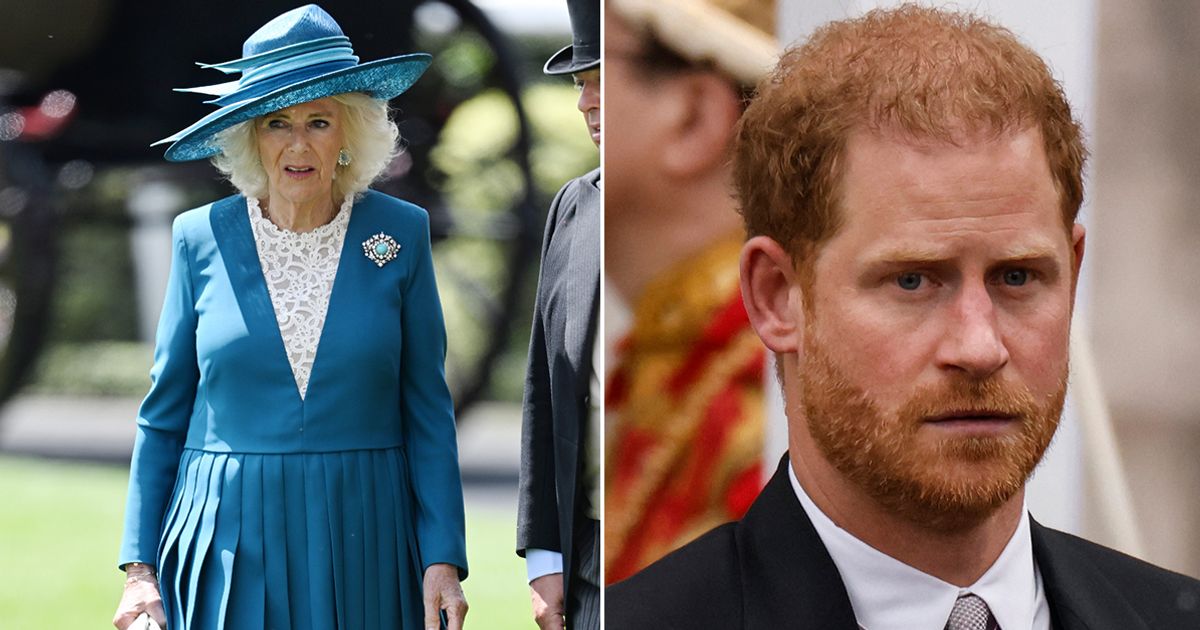 Camilla’s Greatest Hurdle: Why the Shadow of Prince Harry’s Words Still Lingers