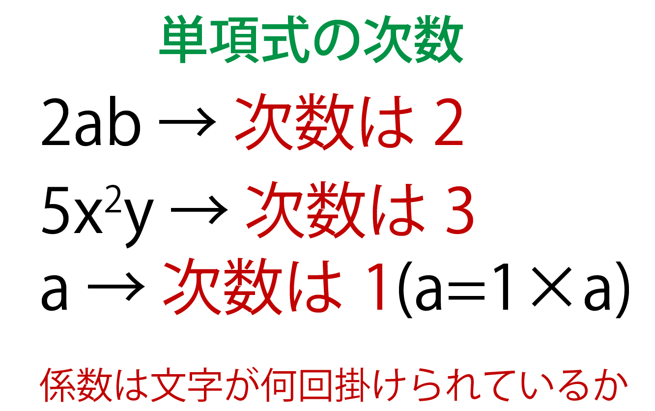 次数とは？係数との違いや単項式・多項式の見分け方を徹底解説