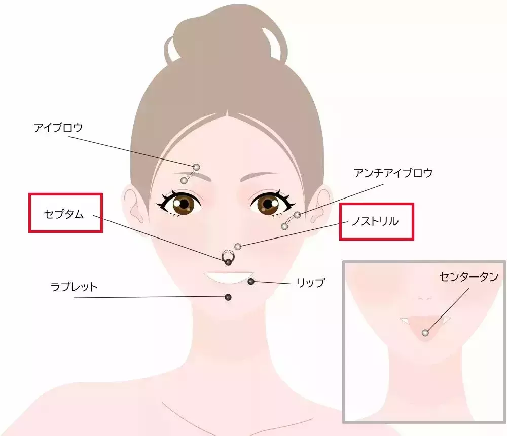 セプタムの位置はどこが正解？軟骨を避ける見極め方と隠し方の極意