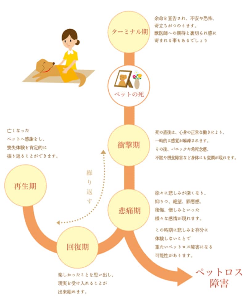 ペットロスを乗り越える最新の処方箋｜立ち直れない理由と心の救済策