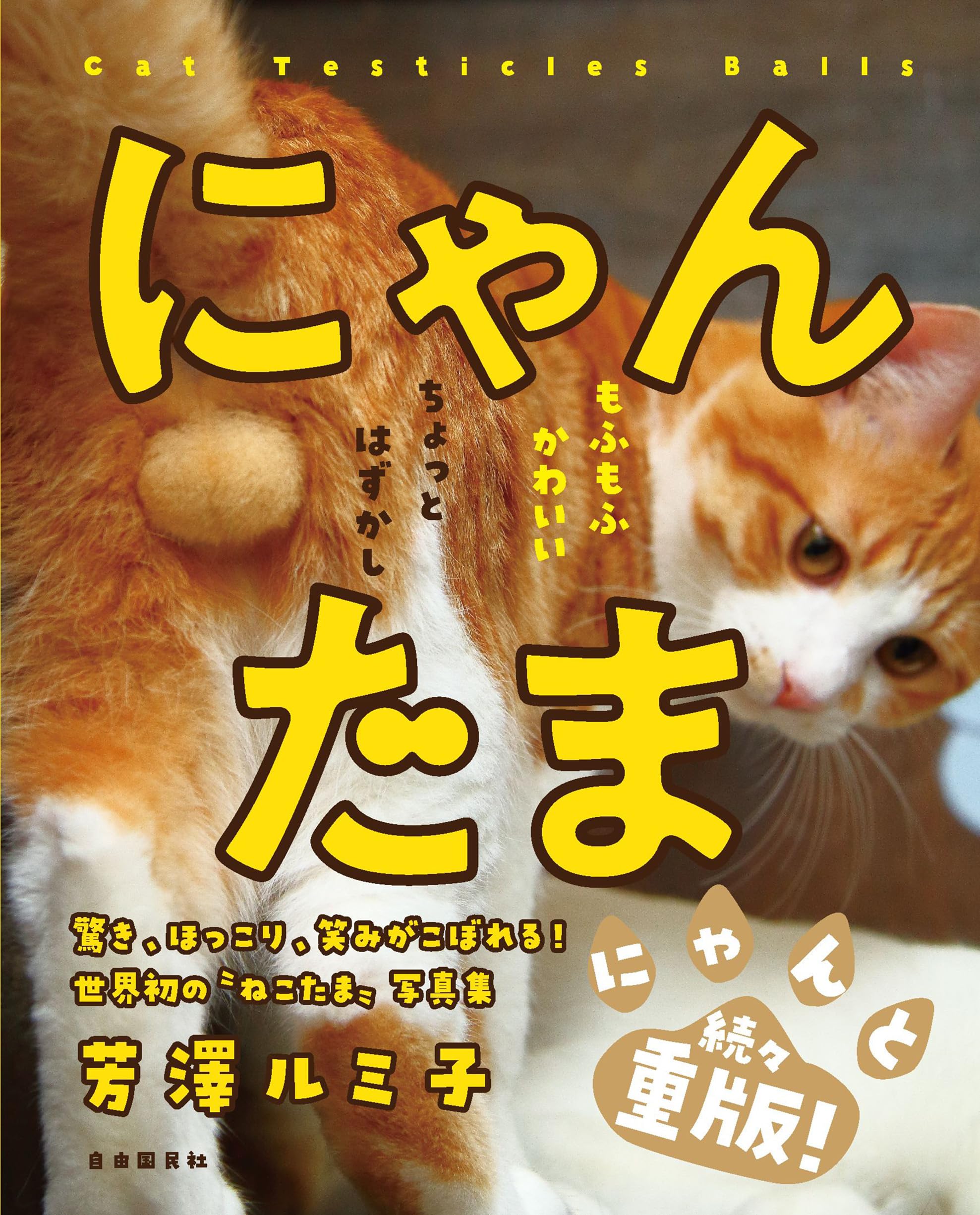 「猫の金玉」はなぜ人を魅了する？去勢後の変化と病気のサイン徹底検証