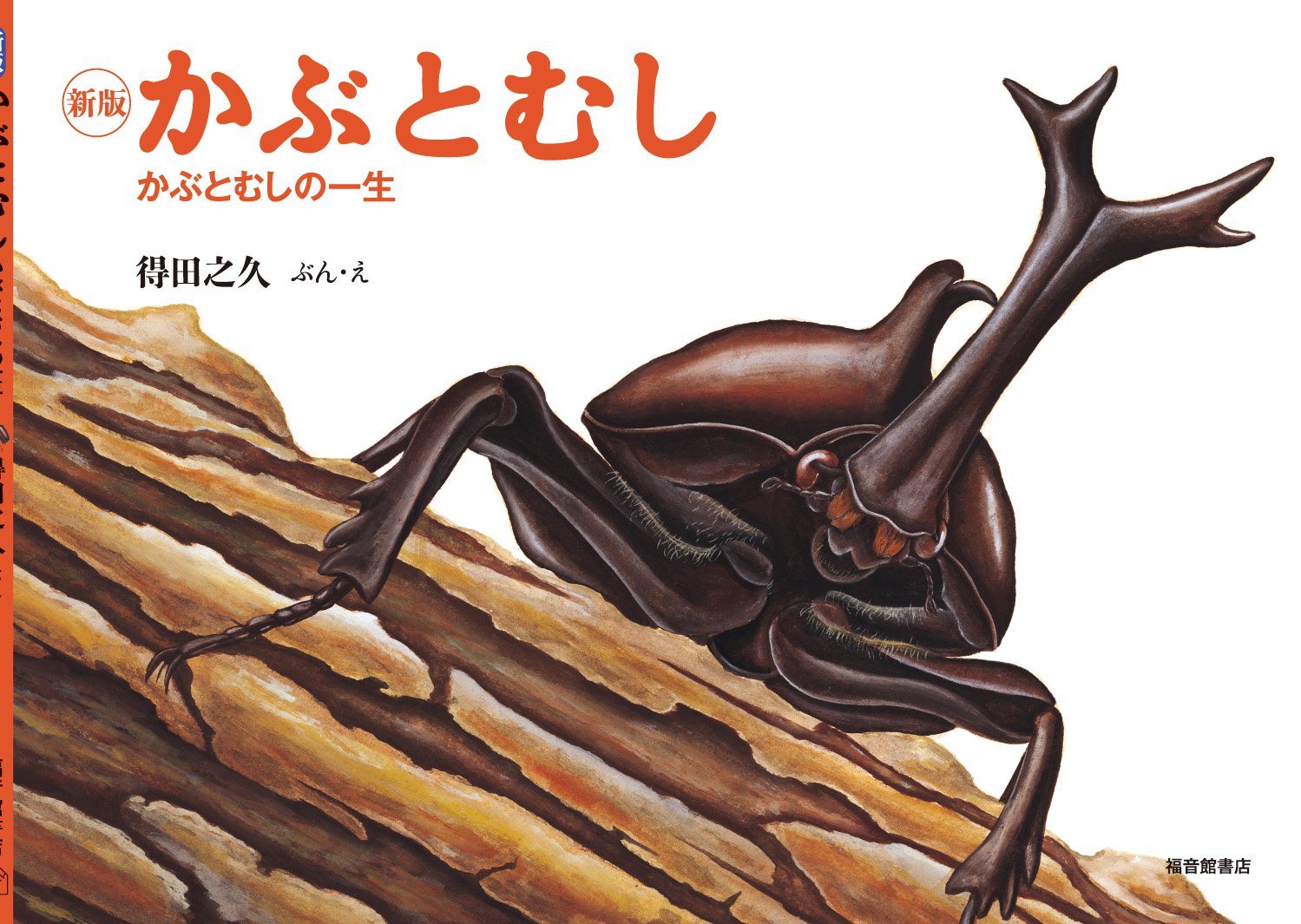 カブトムシの一生を徹底解説｜実は9割が土の中という衝撃の真実