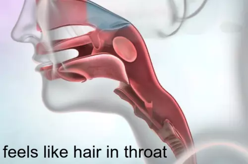Feeling of Hair in Throat