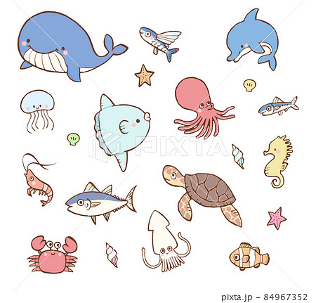 【衝撃】 かわいい 海 の 生き物 イラスト 公式インスタ・X最新情報 #990