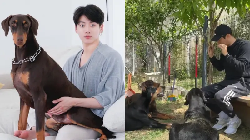 Doe Jungkook Have a Pet
