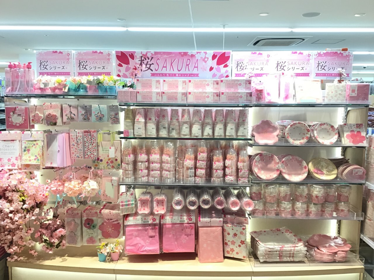 ダイソーキラリナ京王吉祥寺店を徹底解剖！品揃えと混雑回避法