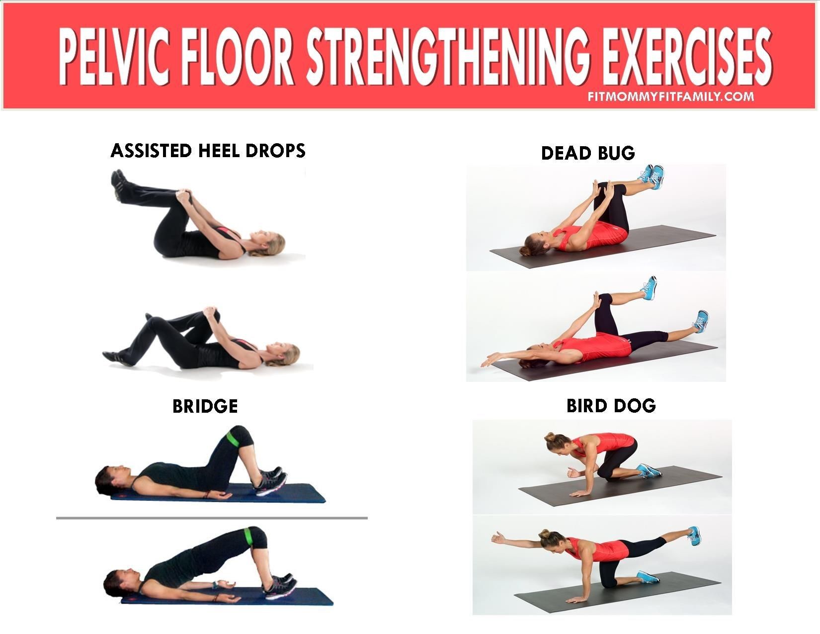 Pelvic Floor Exercises for Constipation Pdf