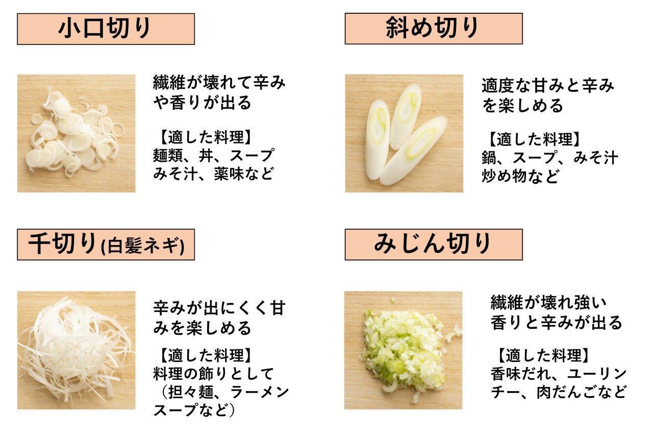 プロ直伝のネギの切り方大全！味が激変する理由と失敗しない裏ワザ