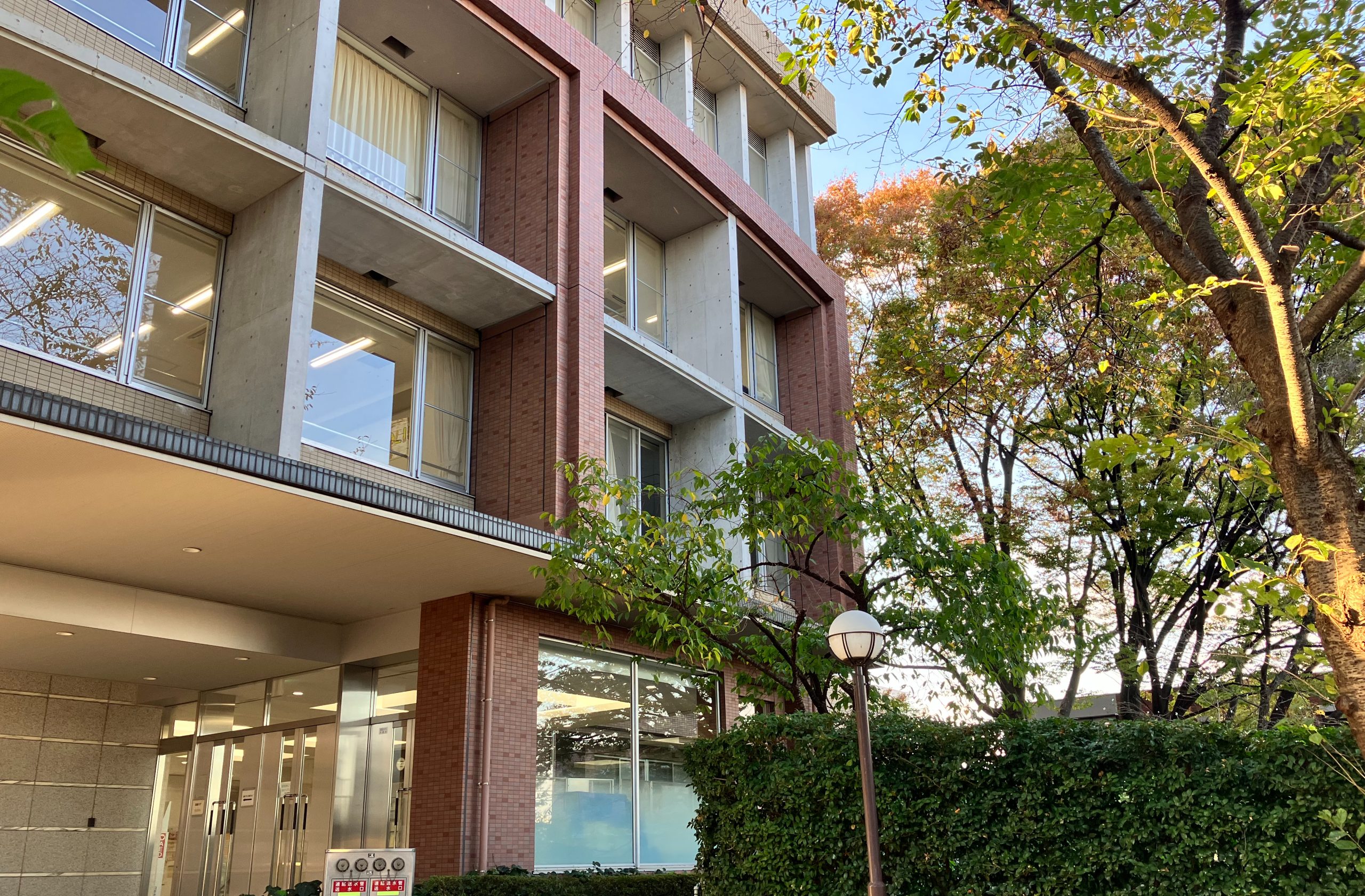 丸久小山園の抹茶が選ばれる理由｜青嵐や五十鈴の違いと評判を徹底検証