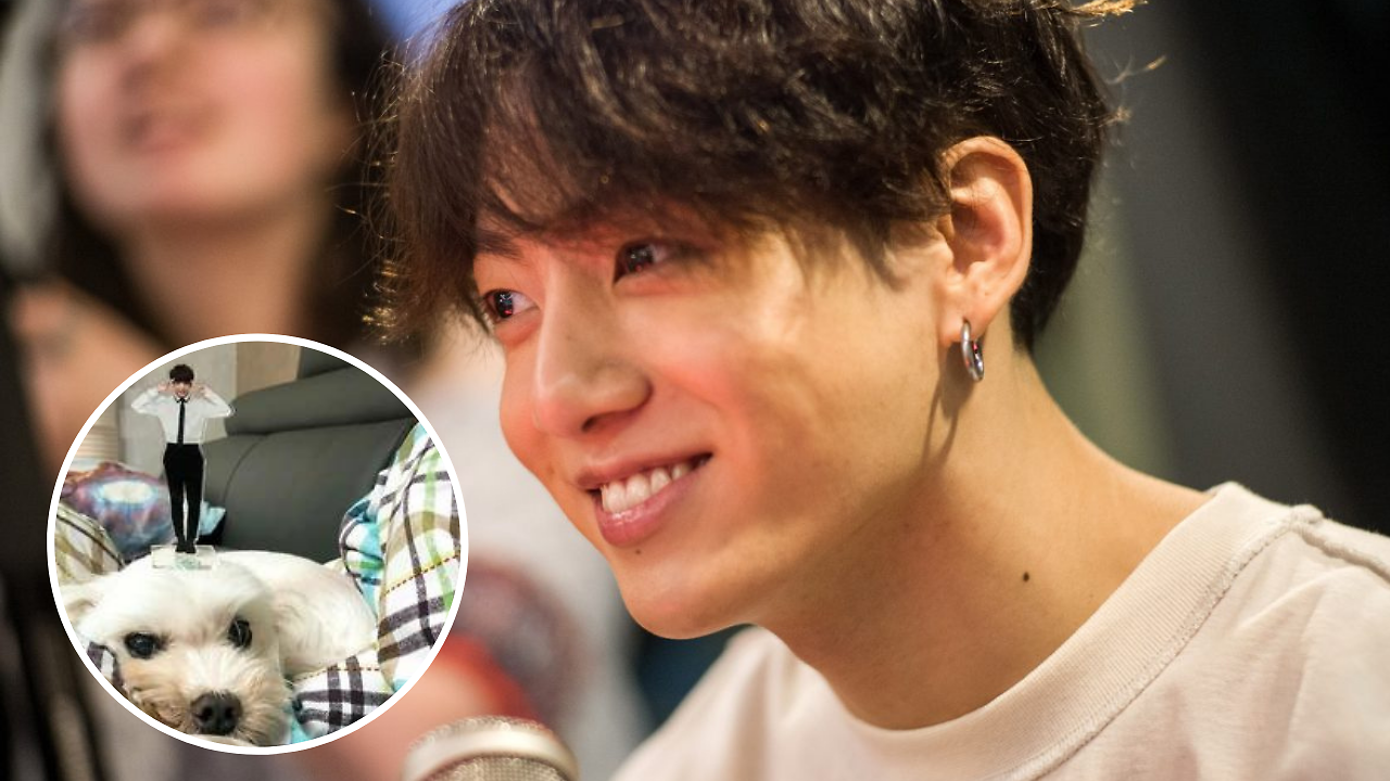 Did Jungkook's Dog Die